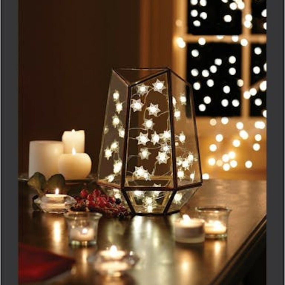 Studio Mercantile String Lights LED Micro Snowflakes 10ft